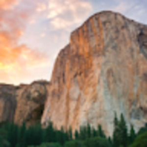 Meet your Posher, Jessie